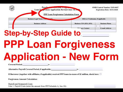 PPP Loan Forgiveness Application Assistance